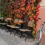 A Lone Shewolf in Berlin’s Autumn