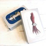 Sol Ar Portuguese Shop