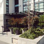 Mama Shelter Paris – Mama loves you, Mama feeds you!